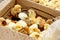 Yellow and black little broiler chickens with down on the body sit in a cardboard box close-up top view. newborn chicks