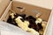 Yellow and black little broiler chickens with down on the body sit in a cardboard box close-up top view. newborn chicks