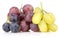 Yellow, Black and pink grapes