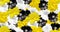 Yellow, black, white flowers. Seamless flower pattern. Mallow and Rudbecka