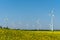 Yellow blossoming oilseed and some wind energy plants