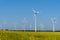 Yellow blossoming rapeseed and some wind energy plants