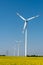 Yellow blossoming rapeseed and wind energy turbines