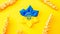 Yellow blue background. Ukrainian flower trident symbol with wheat grain ear isolated on yellow banner. Support Ukraine