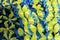 Yellow and blue bows colored as ukrainian flag