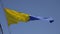 Yellow-blue ensign. A triangle. 4K.