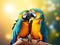 Yellow blue lovebird parrots on bokeh background. Two colorful lovebird parrots in love sitting on branch, kissing and looking