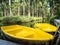 A yellow boats in palm garden.