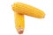 Yellow boiled ears of corn on a white background isolate. logo, icon