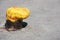 Yellow bollard on a pier