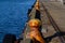 Yellow bollards for boats to tie up to stretch along the pier in Wellington, New Zealand