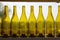 Yellow bottles in a row of winery window