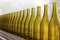 Yellow bottles in a row of winery window