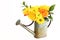 Yellow Bouquet of Spring Flowers in Watering Can