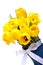 Yellow bouquet of tulips with a white ribbon