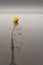 Yellow bouy on a chain on a beach