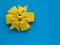 Yellow bow on blue background