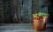 Yellow brass bucket with berry of green gooseberry stand in right side on wood background. Horizontal shot