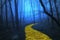 Yellow Brick Road leading through a spooky forest