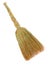 Yellow broom