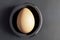 A yellow-brown chicken egg in a futuristic plate or vessel on a dark black background with soft light close-up