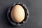 A yellow-brown chicken egg in a futuristic plate or vessel on a dark black background with soft light close-up