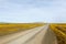 Yellow Brown Road leading to Tankwa Karoo