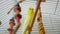 A yellow budgerigar in a cage nibbles on cereal sticks. Healthy parrot food