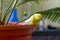 Yellow budgie sits on edge of flowerpot with a palm tree