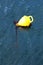 Yellow buoy