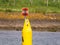 Yellow buoy with brush on top marking waterway, Netherlands