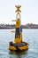 Yellow Buoy Covered by Sunbathing Sea Lions in Ensenada