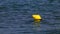 Yellow buoy floating in the sea