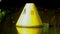 Yellow Buoy Floating In The Water