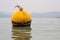 Yellow Buoy floats