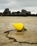 Yellow buoy lying on the beach at low tide