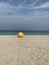 Yellow buoy washed up on the shore of a beach