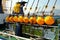 Yellow buoys of longliner fishing boat docked in port.