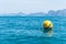 Yellow buoys, Safety ball floating.