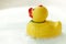 Yellow business rubber duck