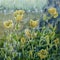 Yellow buttercups growing along the garden path.