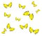 Yellow butterflies