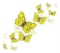 Yellow butterflies background