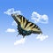 Yellow Butterfly with Clouds and a Blue Sky Background
