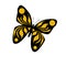 Yellow butterfly illustration