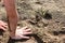 a yellow butterfly sits on the sand, a little boy looks at it, children are interested in insects, family vacations