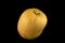 Yellow butternut squash, on black background - Cucurbita moschata