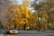 Yellow Cab in Central Park in New York City