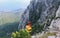 The yellow cab of the funicular with people inside climbs the Ai Petri mountain in the Crimea. Top-down view of the mountains,