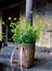 Yellow cabbage flower bamboo basket.